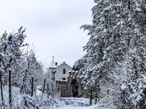 November bescherte uns Kälte-Klatsche