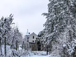 November bescherte uns Kälte-Klatsche