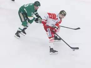 Foxes können wieder lächeln