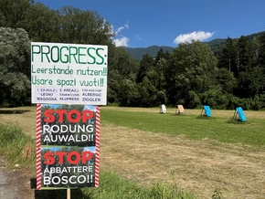 Teilrodung des Brixner Auwaldes genehmigt