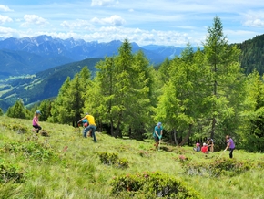 Freiwilliges Engagement zum Internationalen Tag der Berge