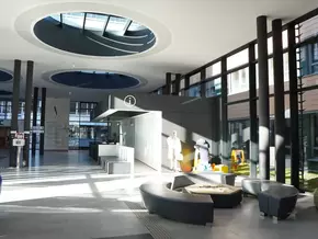 D.A.M.A.: Für Menschen, die Unterstützung brauchen