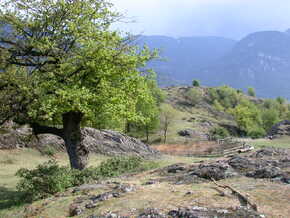 Natura 2000: Land kommt Vorgaben von EU und Rom nach