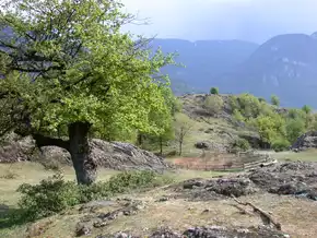 Natura 2000: Land kommt Vorgaben von EU und Rom nach