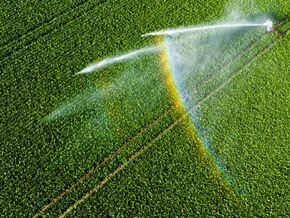 PFAS-Pestizide – Niederlande prüft Verbot von 46 Produkten