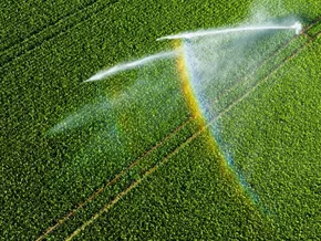 PFAS-Pestizide – Niederlande prüft Verbot von 46 Produkten