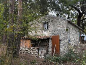 Gericht wies Einspruch von Italiens Waldfamilie ab