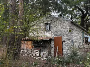 Gericht wies Einspruch von Italiens Waldfamilie ab