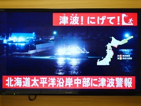 Mehr als 30 Verletzte durch Erdbeben in Japan