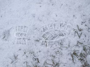 Tragödie in Bayern: 14-Jähriger stürzt vor Freund in den Tod