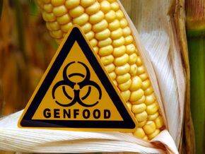 EU-Länder segneten Lockerung der Gentechnik-Regeln ab