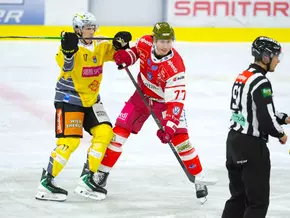 Foxes stolpern zu Hause gegen die Capitals