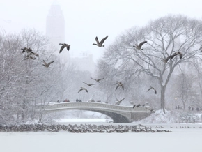 Wintersturm legt Flugverkehr im Nordosten der USA lahm