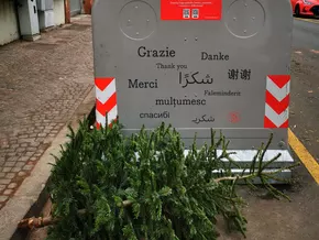 Bozen: Sammlung ausgedienter Weihnachtsbäume