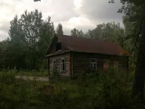 Verstöße gegen elterliche Pflichten der Waldfamilie 2.0