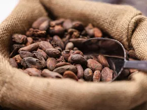 Schokoladenpreise sollen laut Ritter Sport-Chef steigen