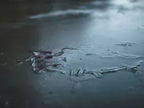 Warum selbst Plusgrade im Winter lebensgefährlich werden können