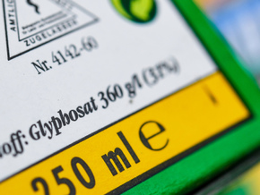 Umstrittene Glyphosat-Studie nach 25 Jahren zurückgezogen