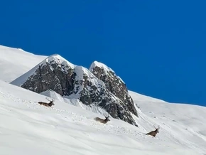 Naturspektakel in den italienischen Alpen