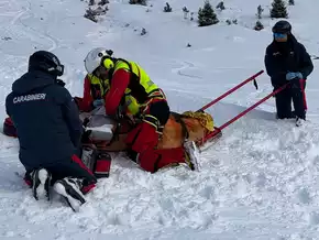 Obereggen: Fünf “Schluckspechte” bestraft