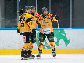 Wölfe setzen ein Ausrufezeichen in der Hala Tivoli!