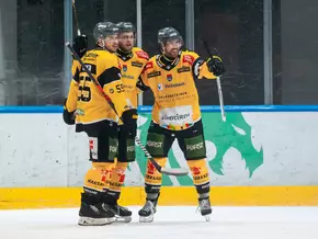 Wölfe setzen ein Ausrufezeichen in der Hala Tivoli!