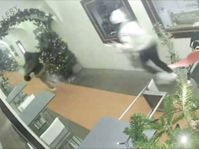 Elegant gekleidet, doch völlig hemmungslos