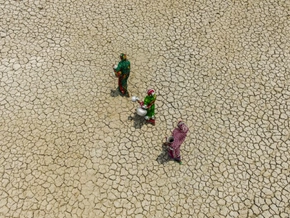 US-Behörde löscht Informationen zum Klimawandel von Websites