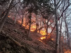 In Südtirols Wäldern ist es gerade brandgefährlich
