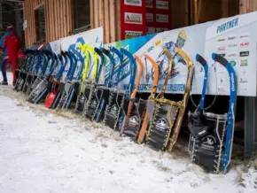 FIL Alpin Rodel Weltcup: In Winterleiten beginnt neue Ära