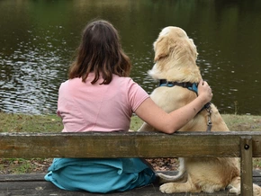 Euer Golden Retriever und ihr – habt ihr das gleiche Gehirn?