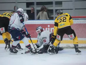 Glanzvoller Sieg der Wölfe in Ungarn