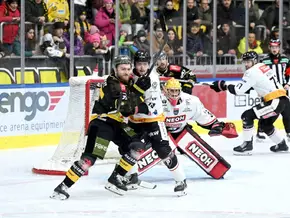 Nachlässige Wölfe verschenken an Neujahr zwei Punkte