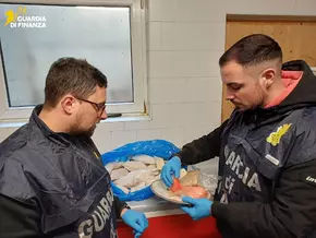 Finanzpolizei beschlagnahmt 48 Kilo Fisch und Meeresfrüchte im Vinschgau