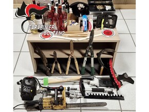 23-Jähriger begeht Einbrüche an Feiertagen