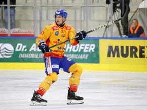 Foxes verpflichten Matt Cairns