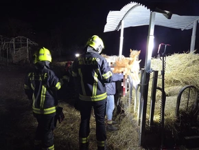 Feuerwehr befreit verletzte Stute