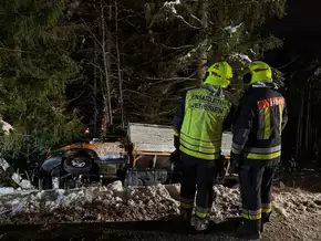 Lkw landet im Wald – Fahrer unverletzt