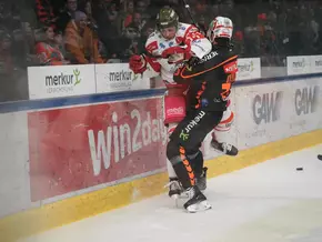 Foxes kehren mit einem Punkt aus Graz zurück