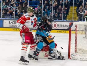 Bozen geht in Linz unter