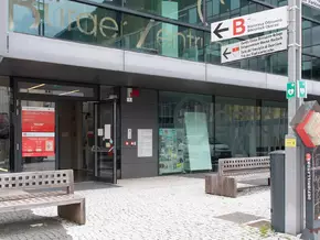 Wildbachverbauung verstärkt Hochwasserschutz für Haslach