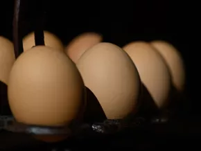 Eierknappheit - Keine Normalisierung bis Ostern erwartet