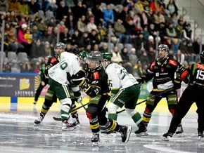 Glückliche Wölfe: Premierensieg gegen Budapest