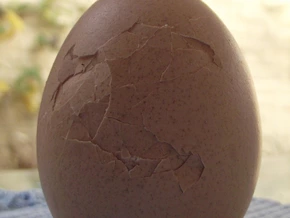 “Ihr macht es alle falsch” – sagt Oma