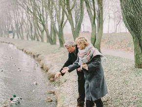 Brot: Die stille Gefahr für Enten und Schwäne