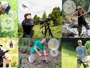 Biodiversität in Südtirol unter Druck