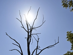 2025 war drittwärmstes Jahr seit Beginn der Aufzeichnungen