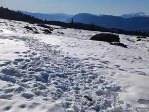 „Kalt, aber sonnig“