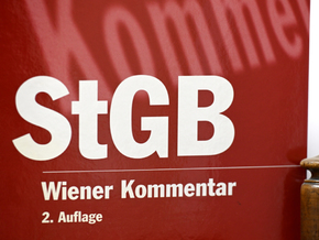 Einweisung nach Attacke auf mehrere Passanten in Wien