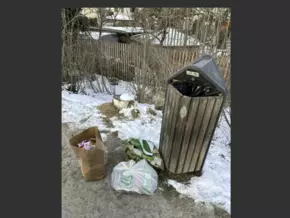 Müllsünder in Bruneck